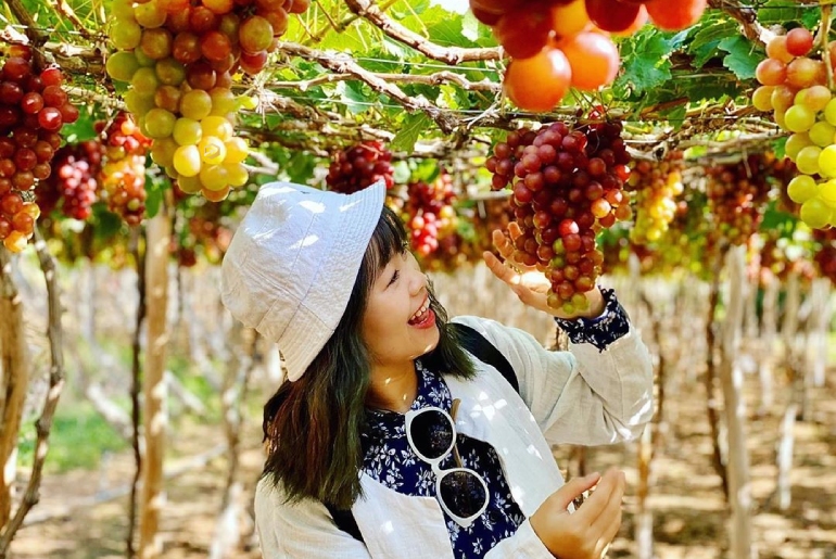 Фан ранг + капебары и кенгуру